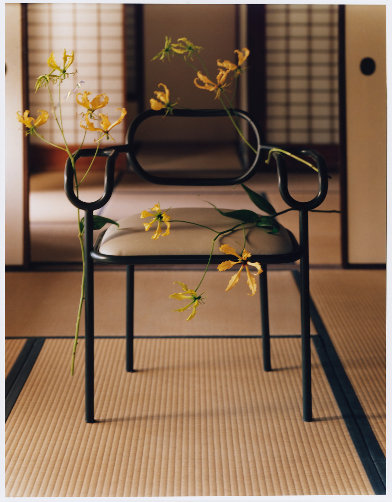 M Magazine - Le Gout du M 10 - © François Coquerel