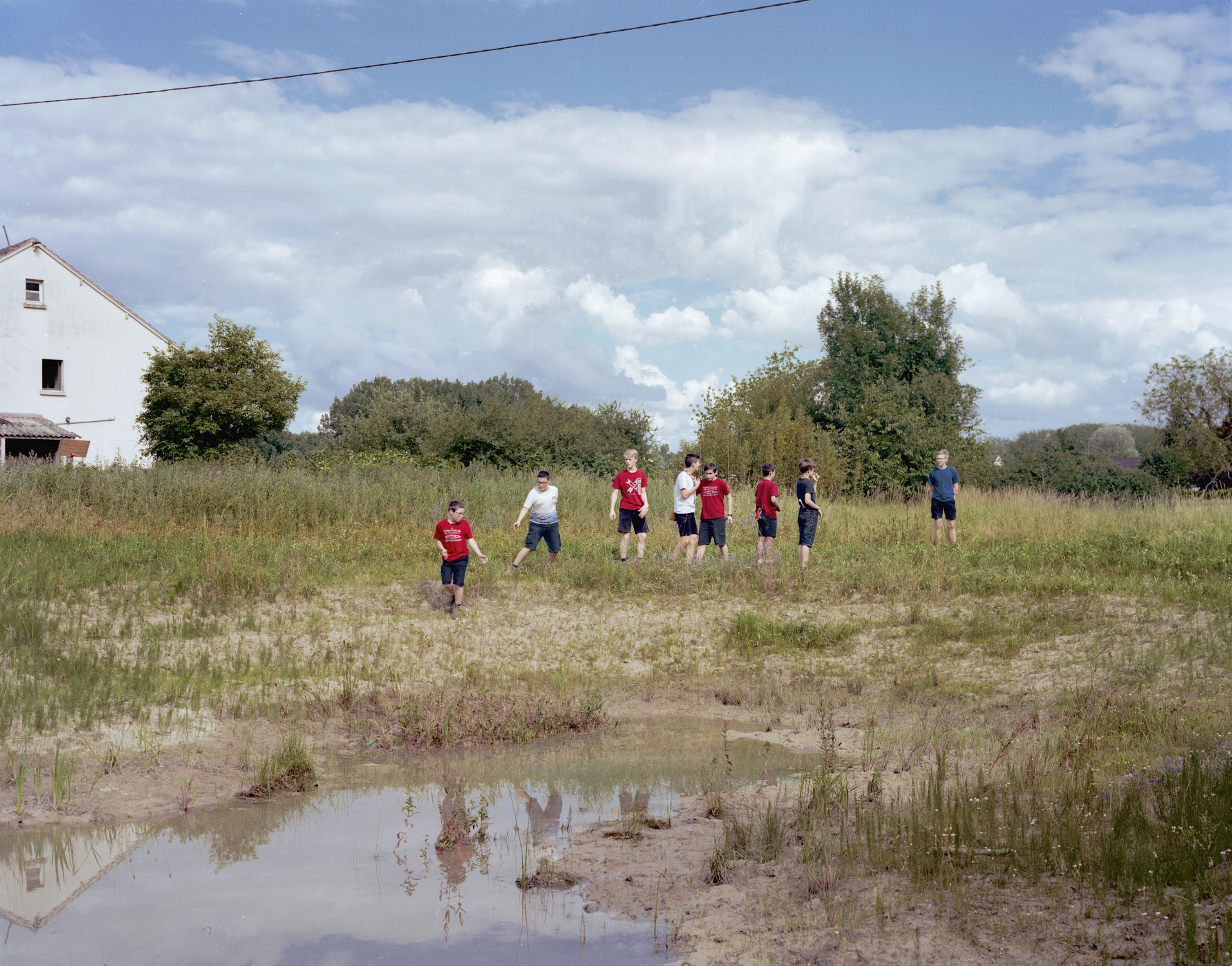 La Meute - © François Coquerel